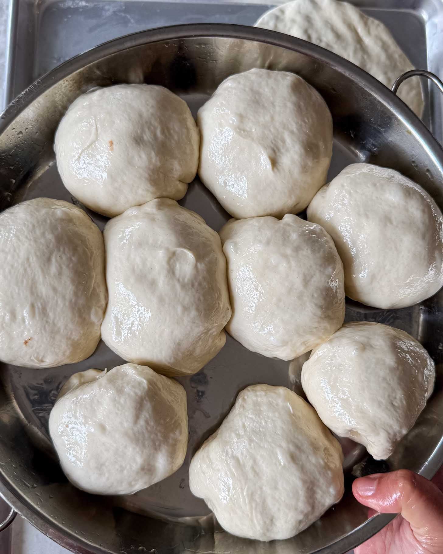 A close-up of a round metal tray holding ten pieces of risen pizza dough, slightly shiny and soft, with a hand holding the tray at the bottom right corner.